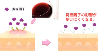 炎症因子の影響を受けにくくする