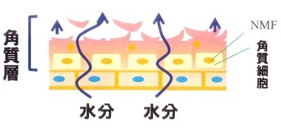 赤みのある頭皮