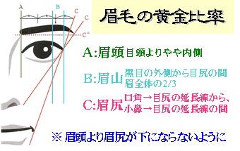 眉の黄金比